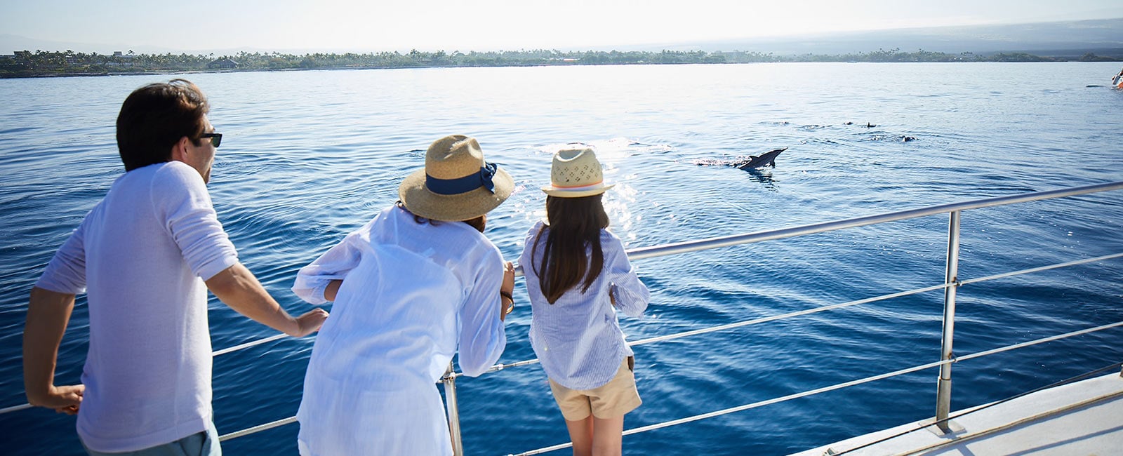 Enjoy whale watching on a Hawaiian vacation with Hilton Grand Vacations