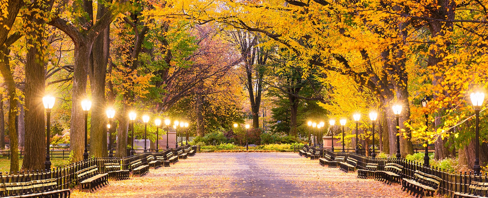 Enjoy a vacation in New York near Central Park with Hilton Grand Vacations